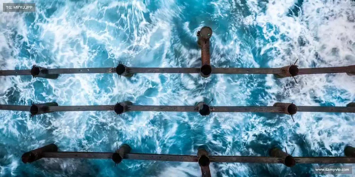 👾 挑战极限，成就游戏王者之路！